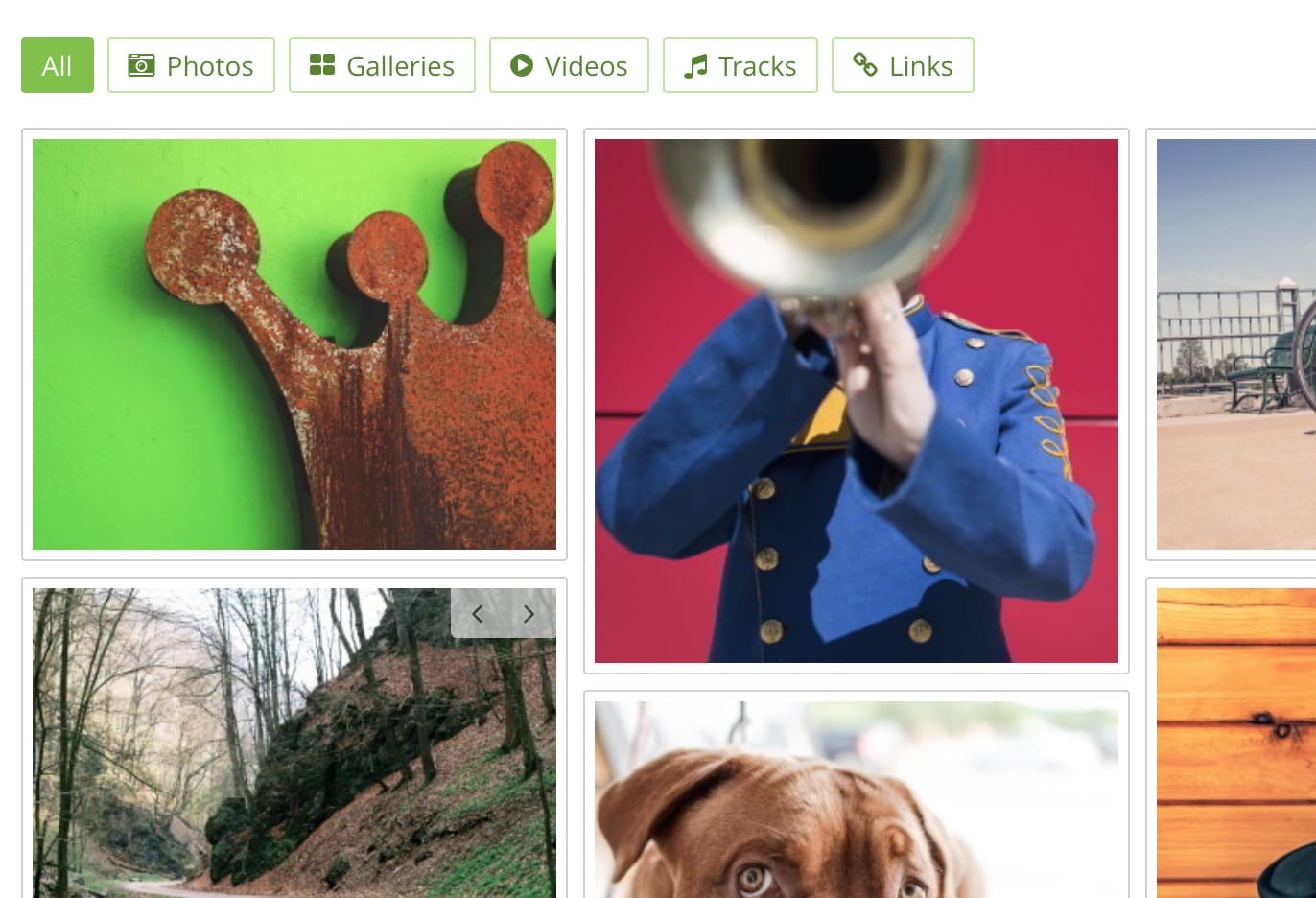 Media Grid – WordPress Responsive Portfolio
